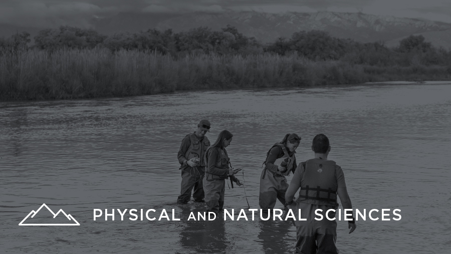 Physical and Natural Sciences banner image